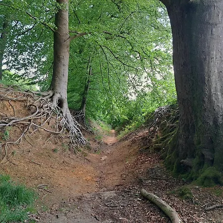 Erve Lindehof * Lochem