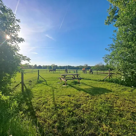 Erve Lindehof Holiday home