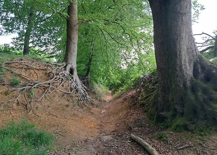 Erve Lindehof * Lochem