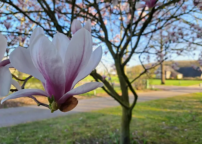 Semesterbostad Erve Lindehof *