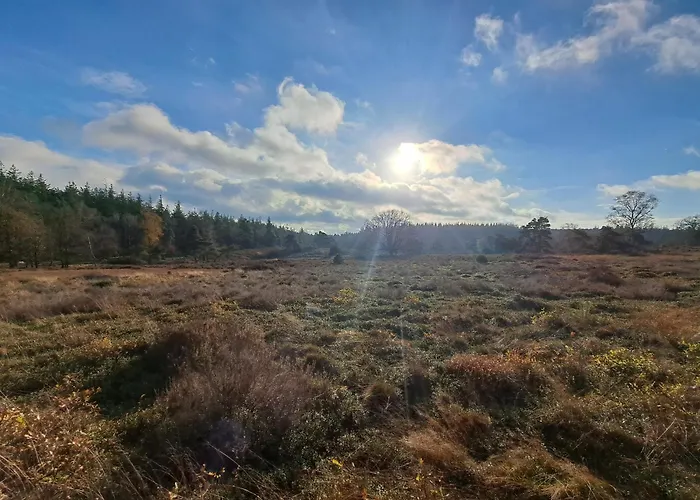 Erve Lindehof Lochem