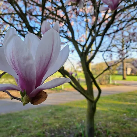 Hébergement de vacances Erve Lindehof *