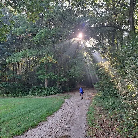 Hébergement de vacances Erve Lindehof